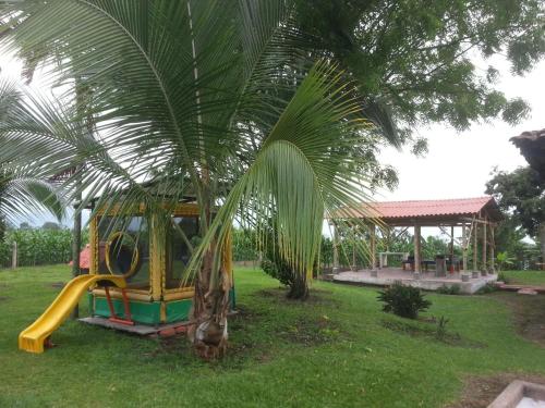 a playground with a palm tree and a slide at Finca La Camelia in Calarcá
