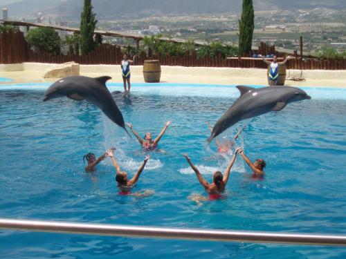 un grupo de personas en una piscina con delfines en Casa rural Vista Alegre , cerca de Valencia y Castellón, en Caudiel