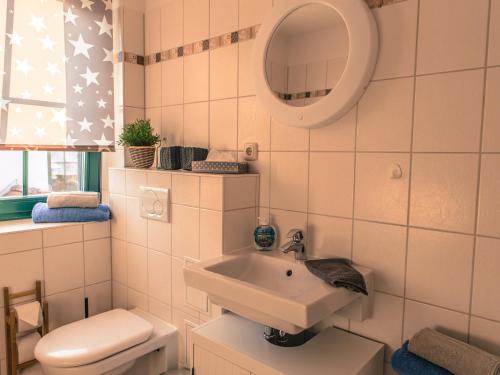 a bathroom with a sink and a toilet and a mirror at Borner Schlafwandler in Born