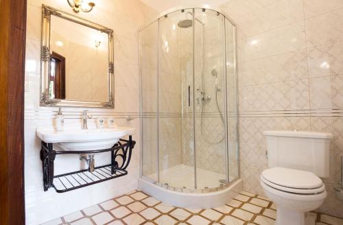 W łazience znajduje się prysznic, umywalka i toaleta. w obiekcie Villa Mistral w Ustce