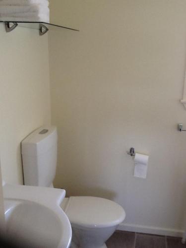 a bathroom with a white toilet and a sink at River Terrace Cottage in Motueka