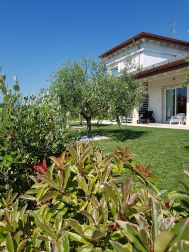 a house with a green yard with trees at Agriturismo La Torretta in Pescantina