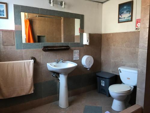 a bathroom with a sink and a toilet and a mirror at Blue House Youth Hostel in Quito