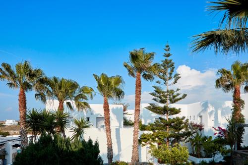 a group of palm trees in front of a white building at Mr and Mrs White Paros in Naousa