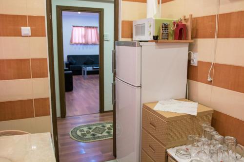 コンスタンツァにあるEKA Mamaiaのキッチン(白い冷蔵庫付)、