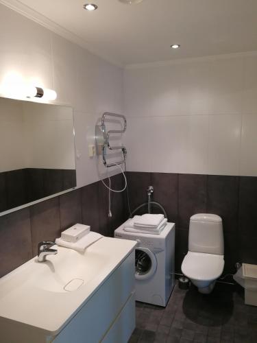 La salle de bains est pourvue d'un lavabo, de toilettes et d'un miroir. dans l'établissement Esplanad Apartment, à Mariehamn