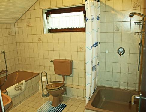 ヴァイセンスベルクにあるFerienwohnung Ausblickのバスルーム(トイレ、バスタブ、シンク付)