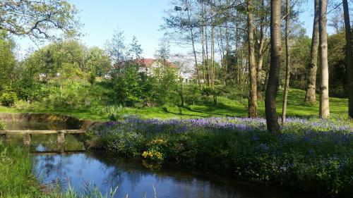 a garden with purple flowers next to a river at Hogarths in Solihull