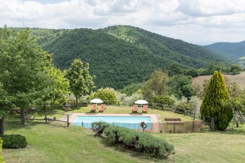 an outdoor swimming pool with a mountain in the background at Agriturismo La Sala in Greve in Chianti