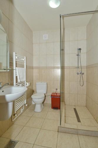 a bathroom with a shower and a toilet and a sink at Pensiunea Mirific in Dubova