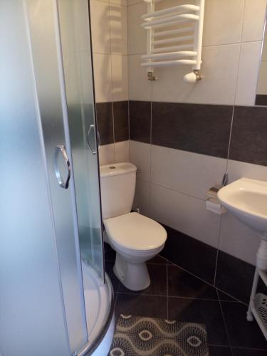 ein Badezimmer mit Toilette und Waschbecken in der Unterkunft Groń pokoje w centrum in Brenna