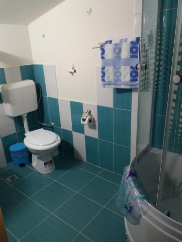 a bathroom with a toilet and a shower at Casa Ariana in Curtea de Argeş