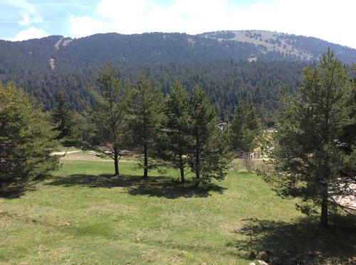 a group of trees in a field with mountains in the background at Le Cytise in Caille