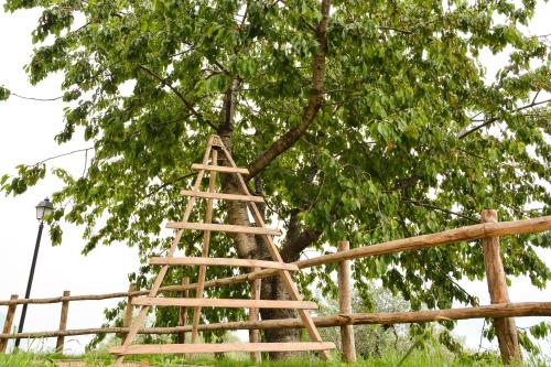 a wooden ladder leaning against a fence next to a tree at Cascina Varini in Gargnano