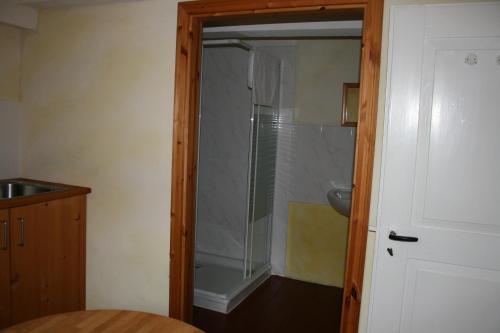 a bathroom with a shower with a glass door at Apartments Café Brennnessel in Veltheim