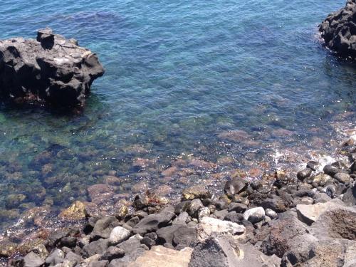 Gallery image of Il Giardino Dei Limoni in Aci Castello