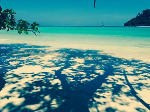 a shadow of a tree on a beach at Mookies Bungalows in Koh Mook
