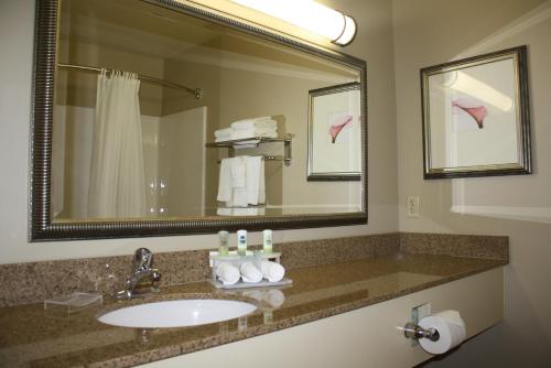 baño con lavabo y espejo grande en Country Inn & Suites by Radisson, Asheville at Asheville Outlet Mall, NC, en Asheville