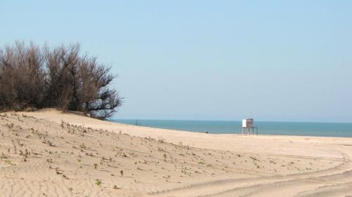 una playa de arena con una torre de salvavidas.  en el Departamento Villa Gesell Norte sobre Playa y 310 Vista al Mar en Villa Gesell