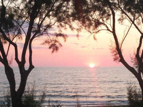 a sunset over the ocean between two trees at Irida Beach Resort Suites in Kyparissia