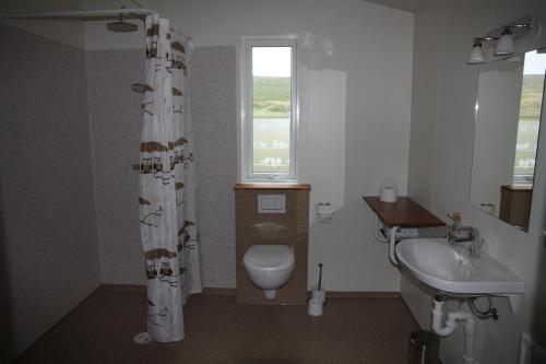 a bathroom with a toilet and a sink and a window at Kjarnagerdi Cottages in Laugar