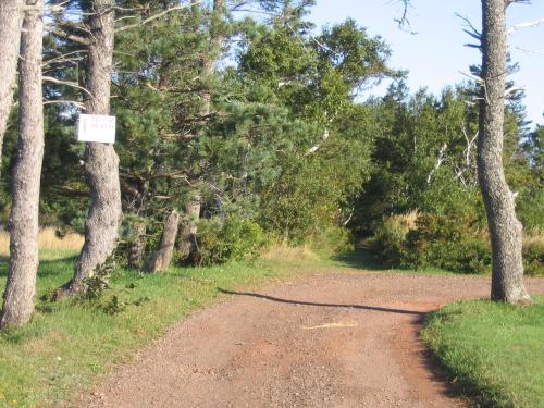 a dirt road with a sign on it next to trees at Shaw's Hotel & Cottages in Brackley Beach