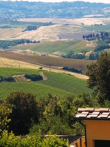 a view of a green field from a building at Accasamia Terricciola in Terricciola