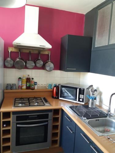 Il comprend une cuisine équipée d'une cuisinière. four supérieur à côté d'un évier dans l'établissement Maison de Vacances, à Châteaumur