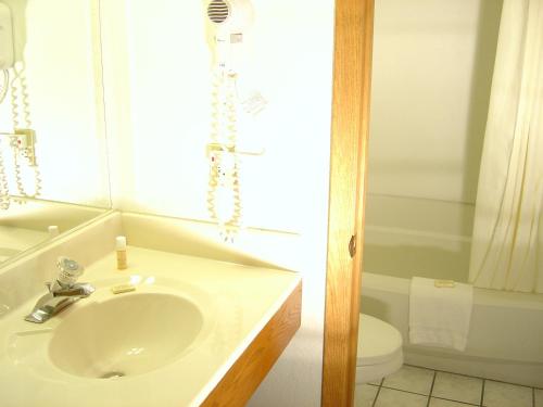 uma casa de banho com um lavatório e um WC em Wakota Inn and Suites em Cottage Grove