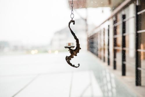 a snake hanging from a hook in a building at 輕塵別院Serenegray B&B in Wujie