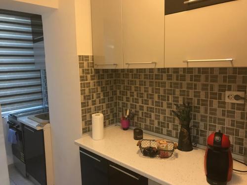 a kitchen with a sink and a counter top at City Park Studio in Constanţa