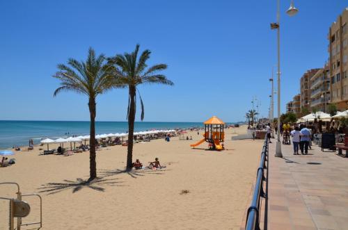 a beach with palm trees and a playground at Hotel Meridional in Guardamar del Segura
