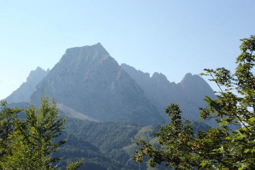 a view of a mountain with trees in the foreground at Hotel Neuwirt in Kirchdorf in Tirol