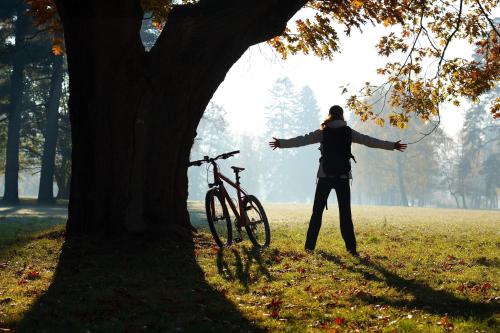 Гости Centrale Hotel und Restaurant