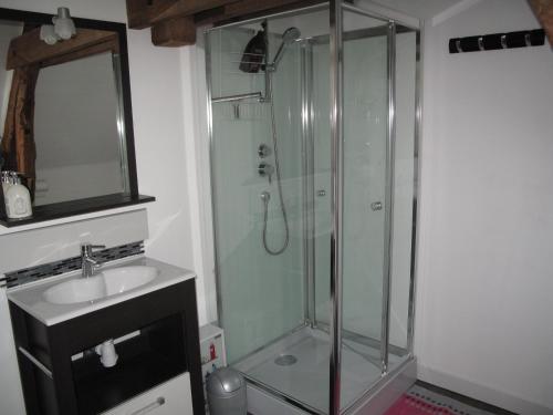 een badkamer met een douche en een wastafel bij La Maison Des Chiens Rouges in Berneuil-sur-Aisne