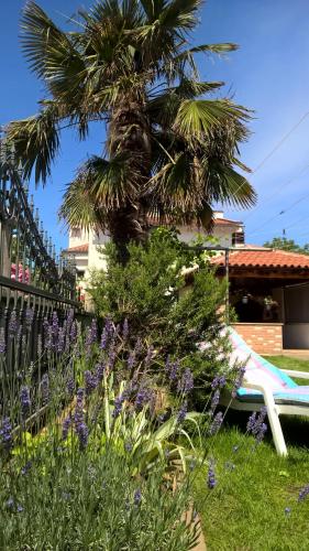 Porta Anna Apartments – Photos 2