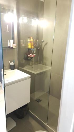 une salle de bain avec une douche avec un lavabo et des toilettes dans l'établissement Appartement Charmant Vélusine, à Antibes