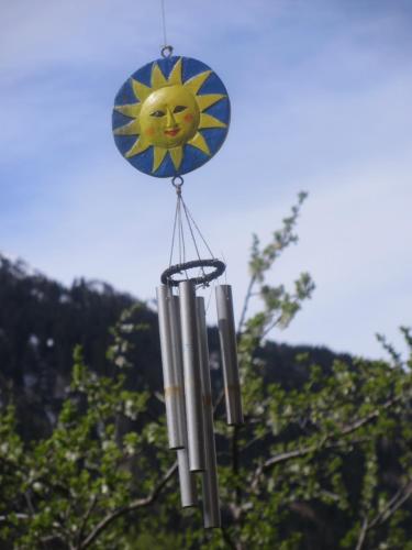 Naturlandschaft in der Nähe des Bed & Breakfasts