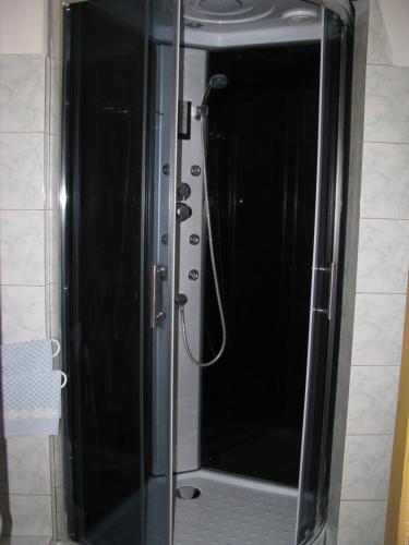 a shower with a glass door in a bathroom at Penzion 102 in Pardubice