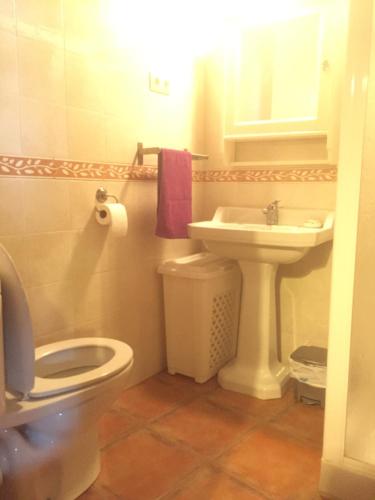 a bathroom with a toilet and a sink at El Capricho del Jerte in Casas del Castañar