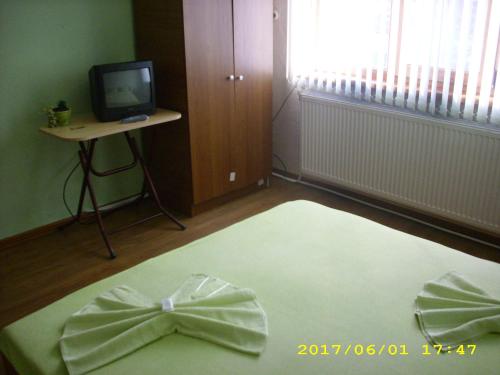 TV a/nebo společenská místnost v ubytování Villa Ribarica