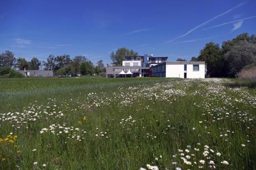 a field of flowers in front of a house at SeeHotel Ketsch in Schwetzingen