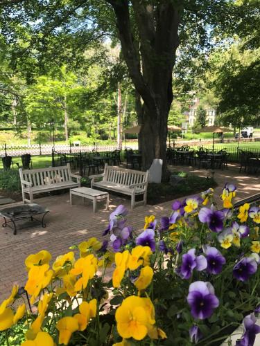 Jardin de l'établissement The Old Lyme Inn