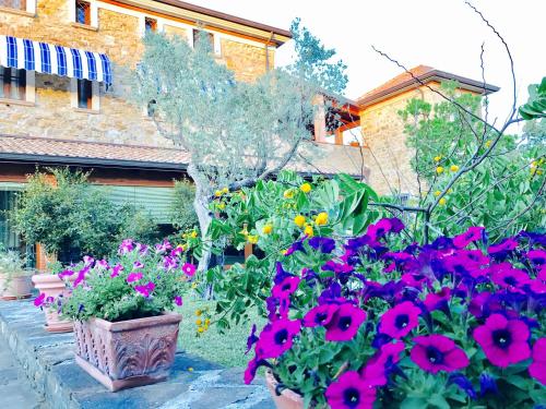 a garden of flowers in front of a building at Casa Vacanze Il Cenito in Castellabate