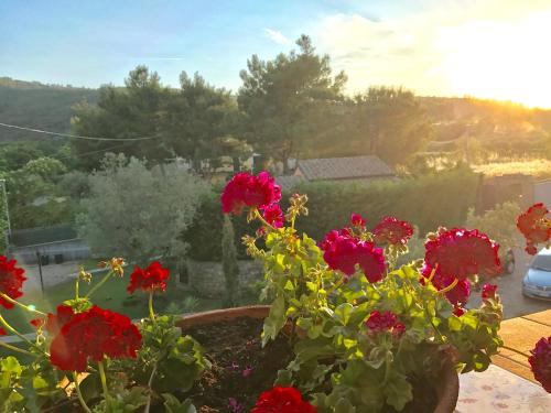 a flower pot with red flowers on a balcony at Casa Vacanze Il Cenito in Castellabate