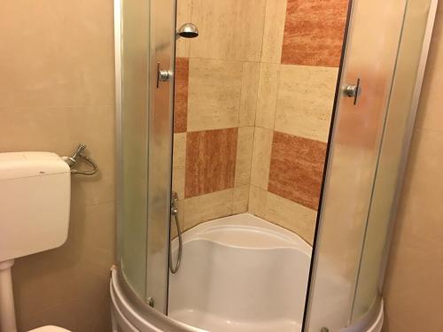 a shower with a glass door next to a toilet at Apartment Eden in Veprinac