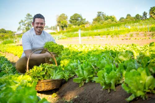 a man kneeling next to a field of lettuce at Pousada Paiol in Atibaia