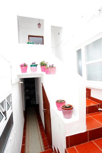Dapur atau dapur kecil di AzoresDream
