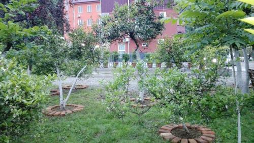 two trees in a garden with a building in the background at Gold Guest House in Gonio