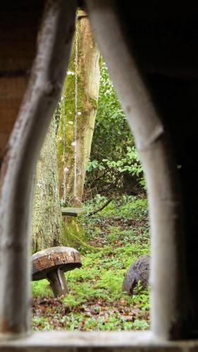 a park bench in the middle of a forest at The Old Rectory Donard in Dún Ard